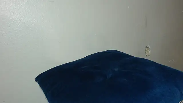 Dogz n daugthers online show from 12-20-24, 08:17