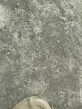 rana cute online show from 12-22-24, 07:22