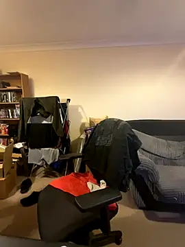 Snapshot of LondonTeffy chatting on 11-17-25, 09:41 LondonTeffy online show from 11-17-25, 09:41