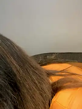 Amandious online show from 04-16-26, 04:13