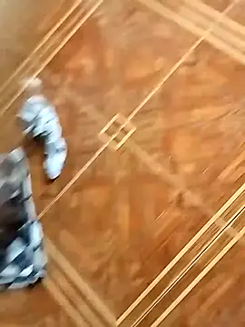 Snapshot of socrathes chatting on 02-26-26, 12:27 socrathes online show from 02-26-26, 12:27