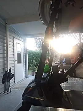 Dixiefaye Pika online show from 01-06-26, 10:03