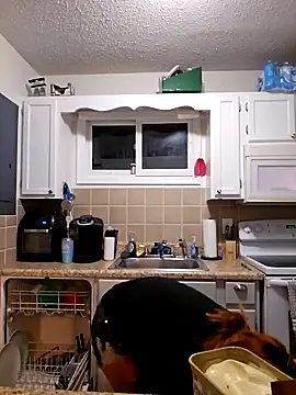 Dixiefaye Pika online show from 02-27-25, 04:02