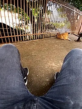 braza66 online show from 04-12-26, 05:05