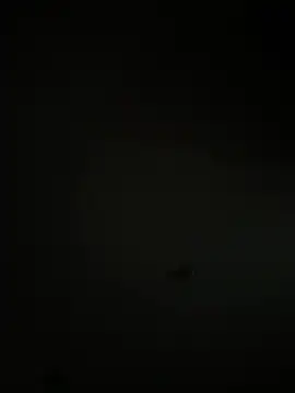 Kylie2211 online show from 03-22-25, 10:06