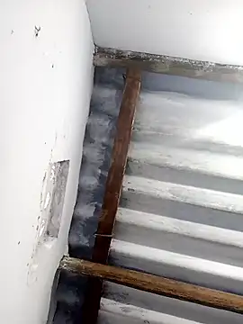 mr slim body online show from 01-13-26, 02:26