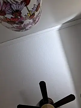 Zander823 online show from 02-03-26, 11:10