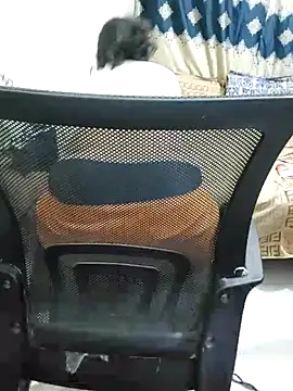 Adiba 2 online show from 11-01-25, 06:24