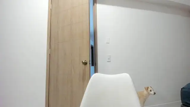 Vera Fernandez online show from 04-10-26, 11:34