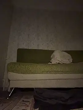 MissDasha online show from 03-07-26, 05:40