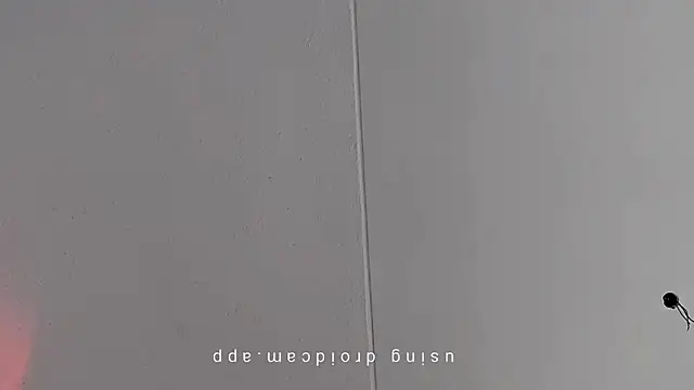 Pegg-fist-me online show from 03-10-26, 08:51