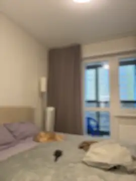 NewLale online show from 11-30-25, 02:56