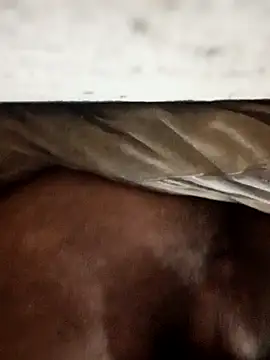 carlos40404 online show from 10-30-25, 04:00