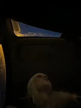 MerlinDave online show from 11-08-25, 12:58