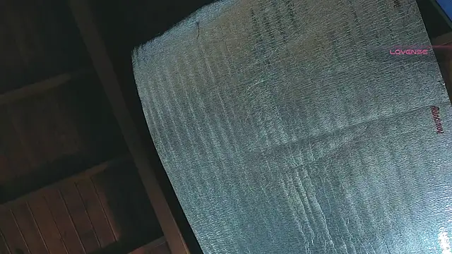 SilvaBranko online show from 04-13-26, 01:09