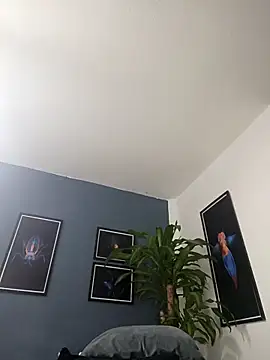 SilvaBranko online show from 12-19-25, 02:04