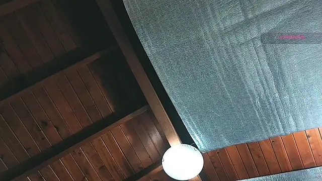 SilvaBranko online show from 04-07-26, 01:07