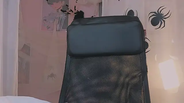 ELLIEJAY online show from 11-01-25, 05:14