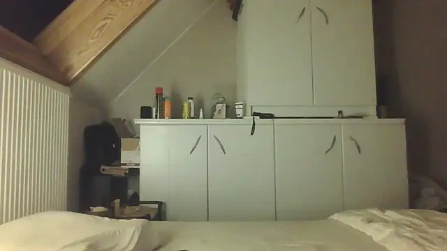 Vekie 007 online show from 05-25-26, 02:33