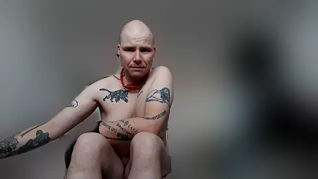 gaywolf426 online show from 02-19-26, 08:33