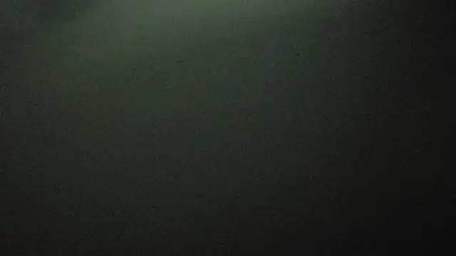 Armyexhibitionistvet online show from 10-03-25, 11:39