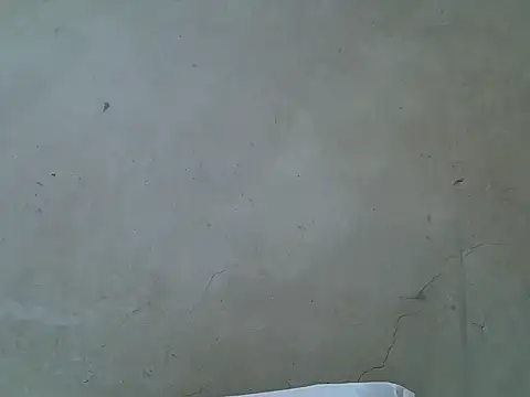 hairyswt pus online show from 11-26-25, 10:04