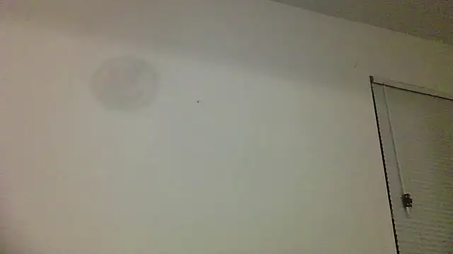 Tabbycat27 online show from 09-19-25, 03:21