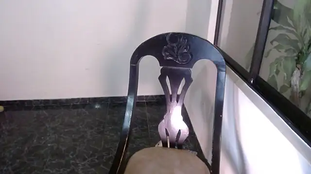 mailer parsonss online show from 02-11-26, 04:51