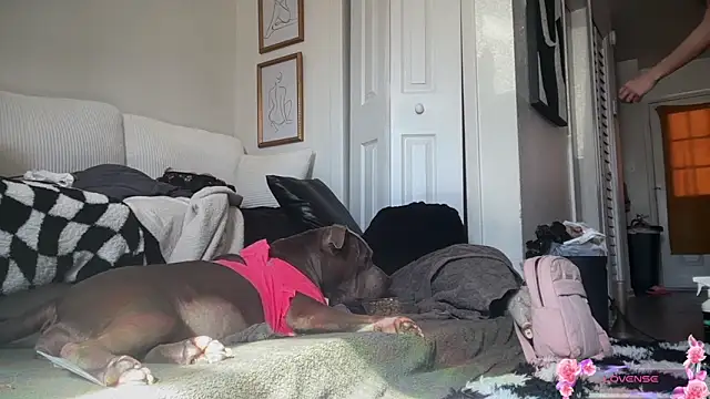 yummyrina online show from 02-07-26, 07:33