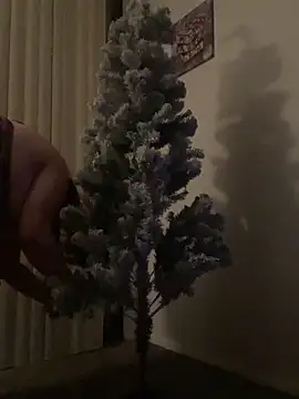 lolabun247 online show from 11-24-25, 06:46