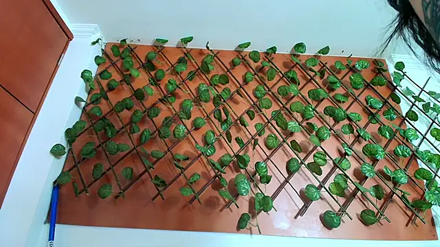 Naughty Kittenm online show from 04-08-26, 11:22