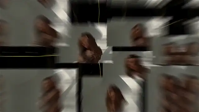 seilyfox online show from 09-25-25, 07:47