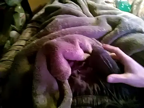 hothippie420 online show from 03-12-25, 04:24