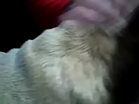 missthickness35 Pika online show from 01-13-25, 03:45