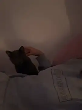 Snapshot of Ag4ta_ chatting on 02-19-26, 11:12 Ag4ta online show from 02-19-26, 11:12