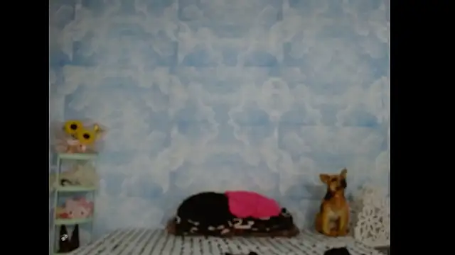 Valerii Gil online show from 03-03-26, 07:37