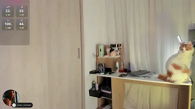 Melina Ferrer1 online show from 12-16-25, 11:47