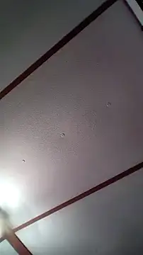 xDestineeXX online show from 12-30-24, 02:31