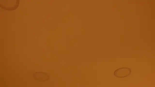 nakamura sam online show from 04-08-26, 10:06