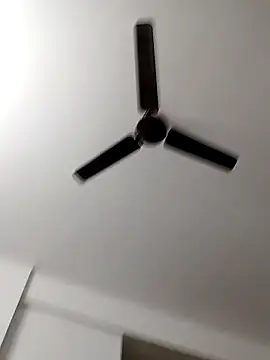 Camieon dre online show from 10-28-25, 06:12