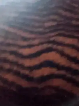 Aachal 7 online show from 11-22-25, 03:27