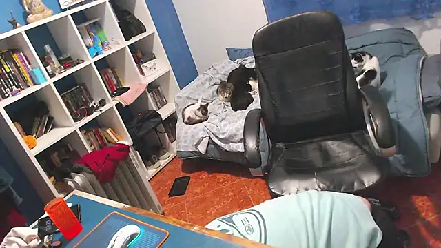 ravingr4d4 online show from 02-02-26, 11:26