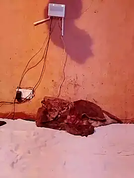 Snapshot of cute_naimah chatting on 12-05-25, 06:17 cute naimah online show from 12-05-25, 06:17