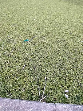 Snapshot of Eduardoxxx51 chatting on 12-03-25, 10:20 Eduardoxxx51 online show from 12-03-25, 10:20