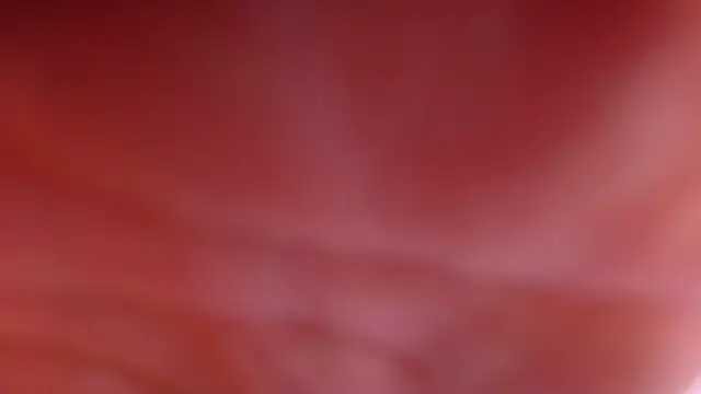 Snapshot of violett_lo chatting on 02-28-26, 03:06 violett lo online show from 02-28-26, 03:06