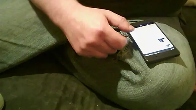 vimilili online show from 10-31-25, 07:54