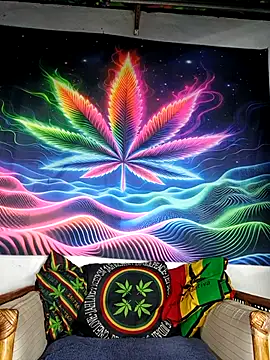 Bbboy42 online show from 11-24-25, 09:37