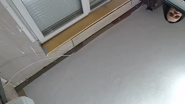 CRISTIINA37 online show from 12-01-25, 03:24