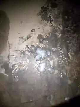 Rahul sharma horny online show from 12-28-24, 03:59