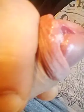 tomee83 online show from 11-02-25, 06:40